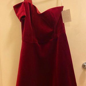 Festive and Shimmery Red Boston Proper Dress